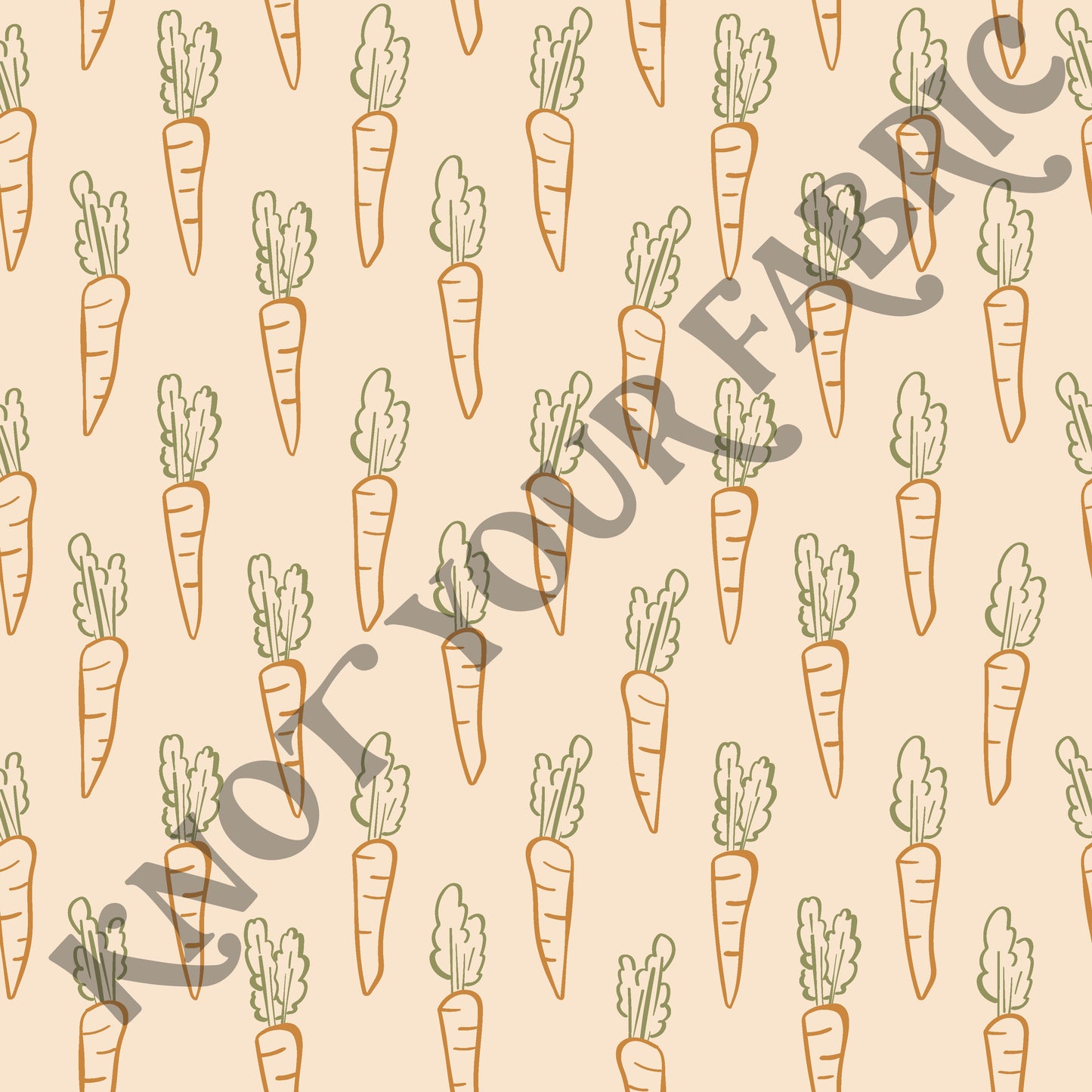 PRE-ORDER Outlined Carrots