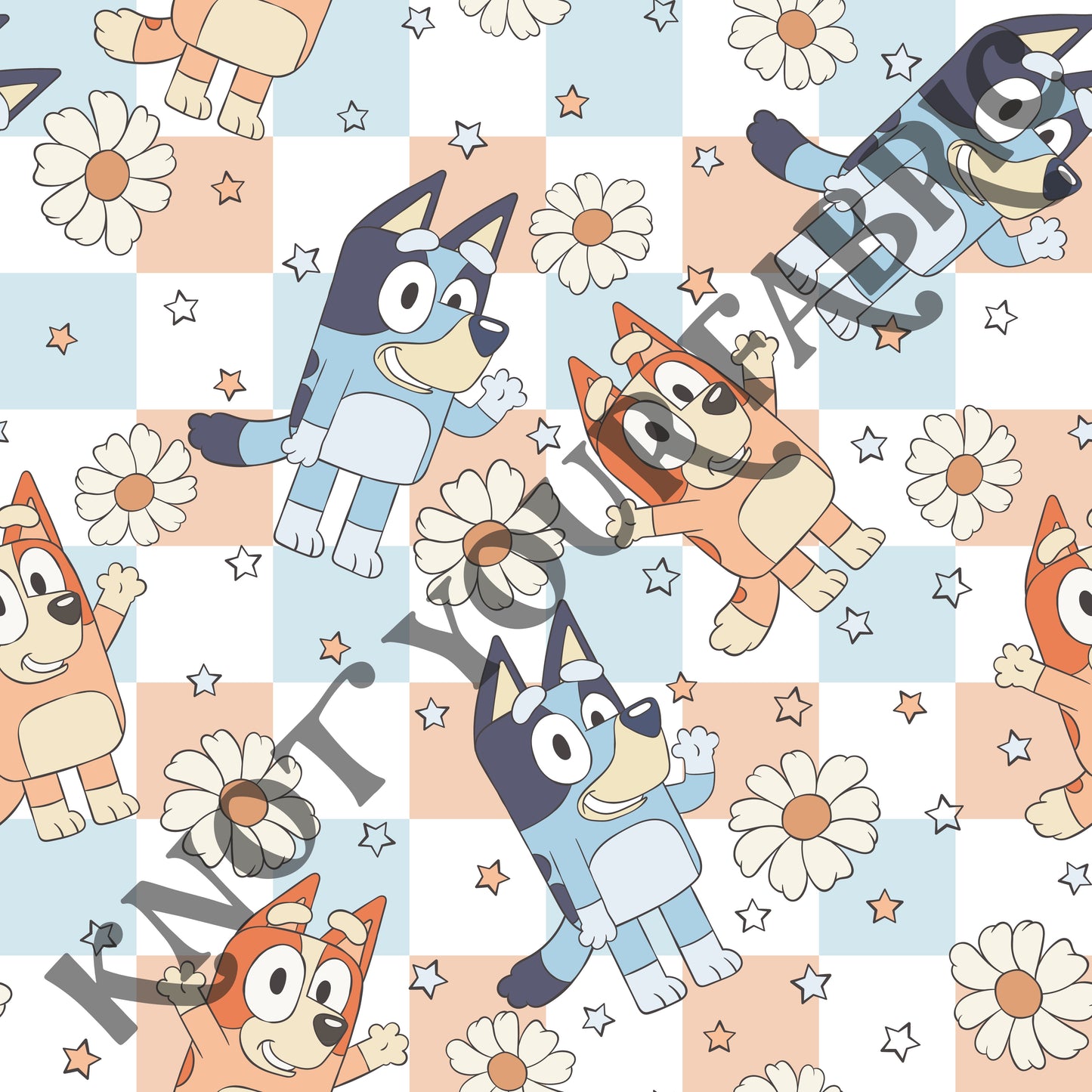 PRE-ORDER Blue Checkered