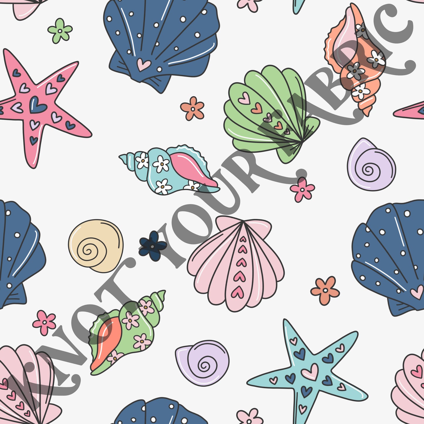 PRE-ORDER Summer Shells
