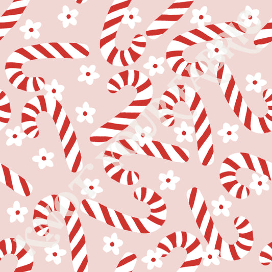 PRE-ORDER Candy Cane Daisy