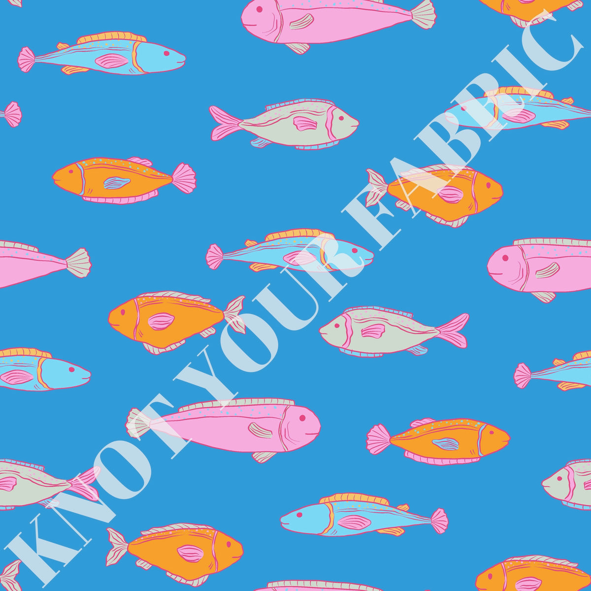PRE-ORDER Vibrant Fish