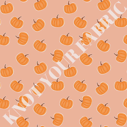 PRE-ORDER Mini Pumpkins