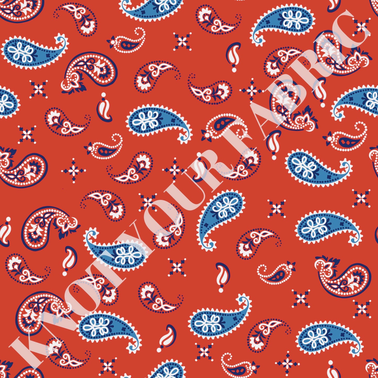 PRE-ORDER Red and Blue Paisley