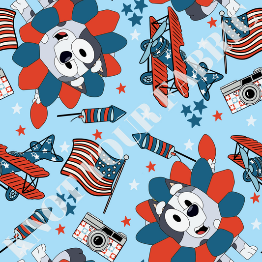PRE-ORDER SWGD 289