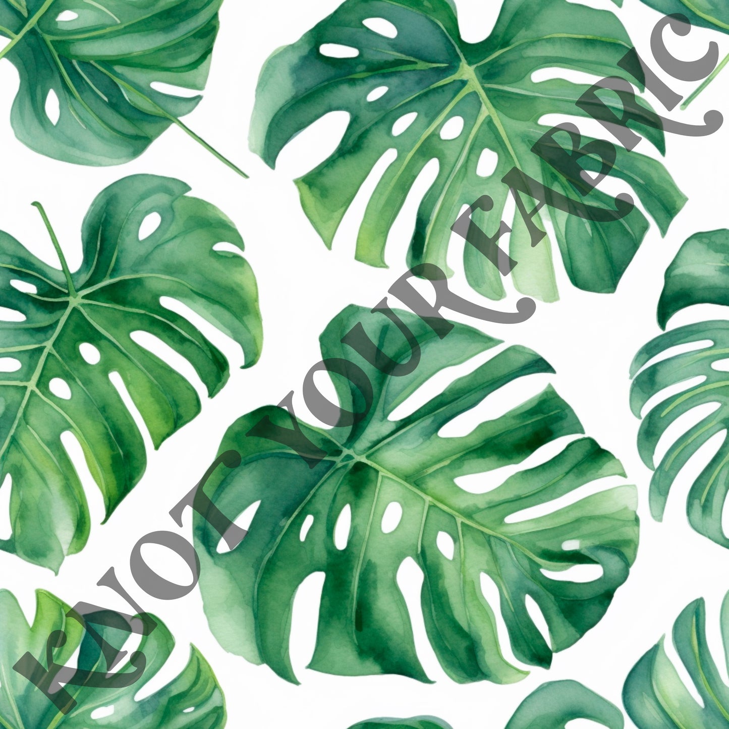 PRE-ORDER Monstera